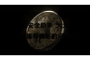 比特派安全助手  大大减少了被黑客膺惩的可能性